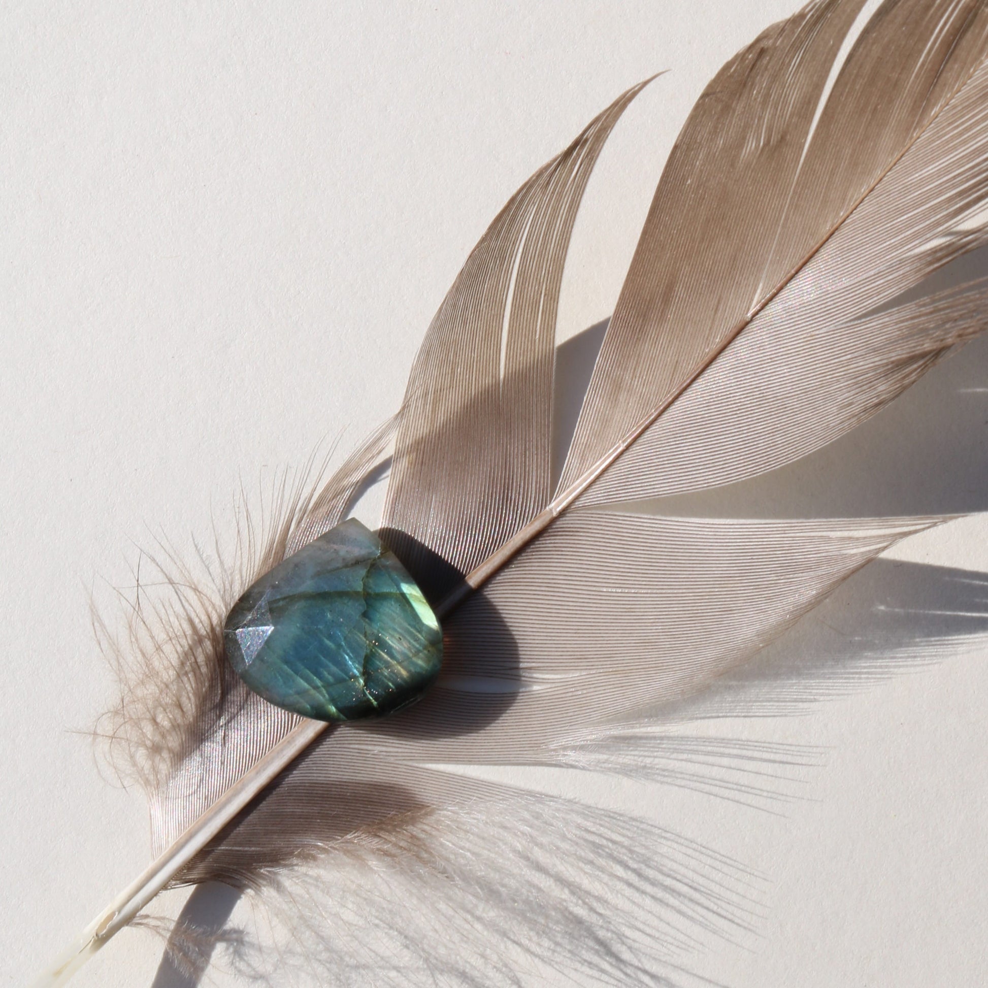 Labradorite Drop close up on feather in natural light with light background