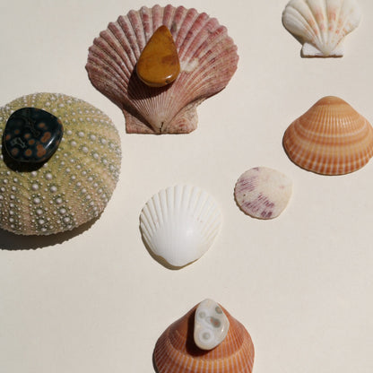 Ocean Jasper, Special Release