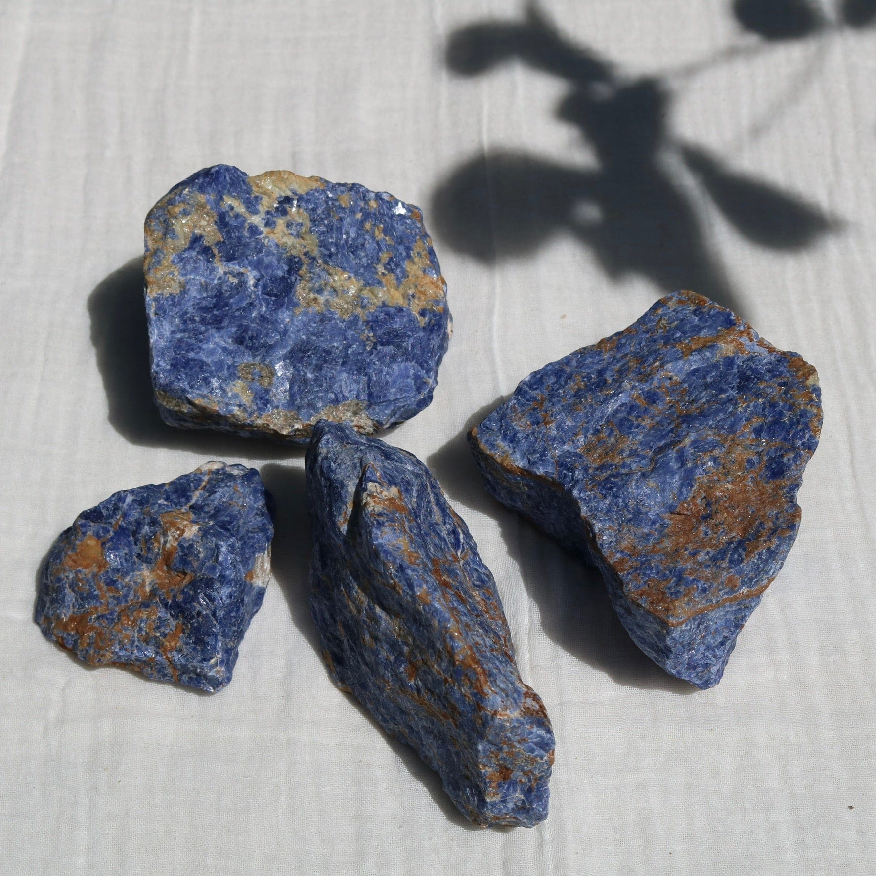 Sunset Sodalite Specimen Vibe Specimen